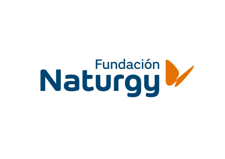 Fundacion-Naturgy_logo